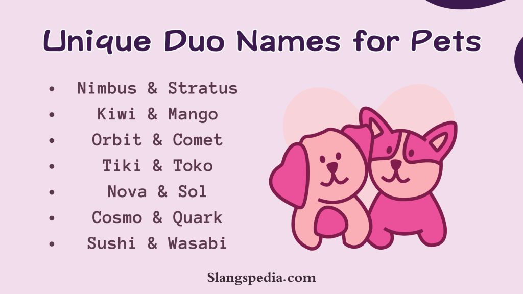 Unique Duo Names for Pets