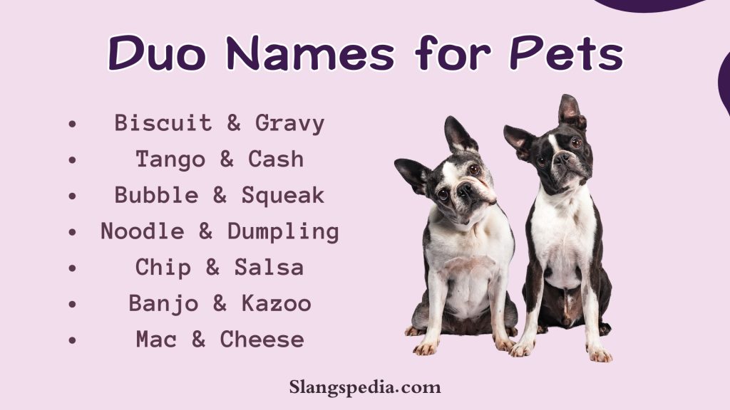 Duo Names for Pets