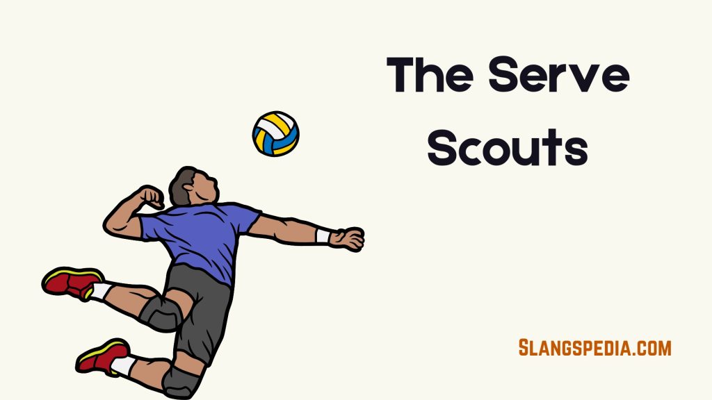 The Serve Scouts